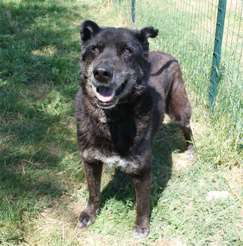 puma_nero_6.6.2010__intero_2.jpg
