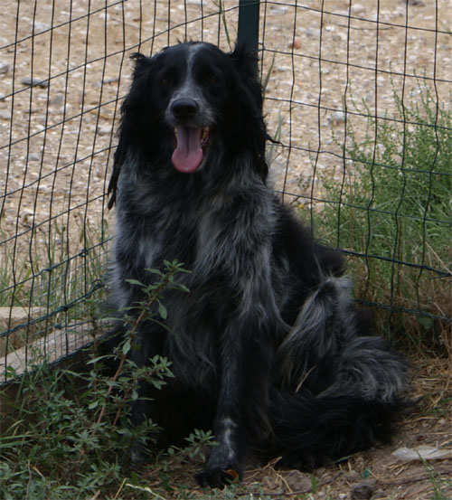 zen_24.7.2011_n._1.jpg